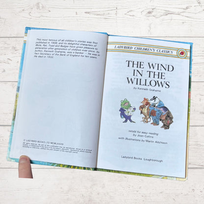 Open book titled 'The Wind in the Willows' by Kenneth Grahame on a light wooden surface.