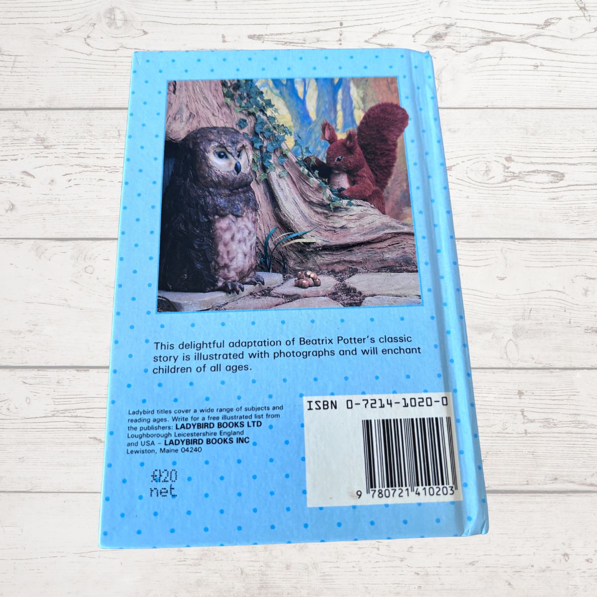 Back cover of a book with illustrations of an owl and a squirrel, on a light wooden surface.