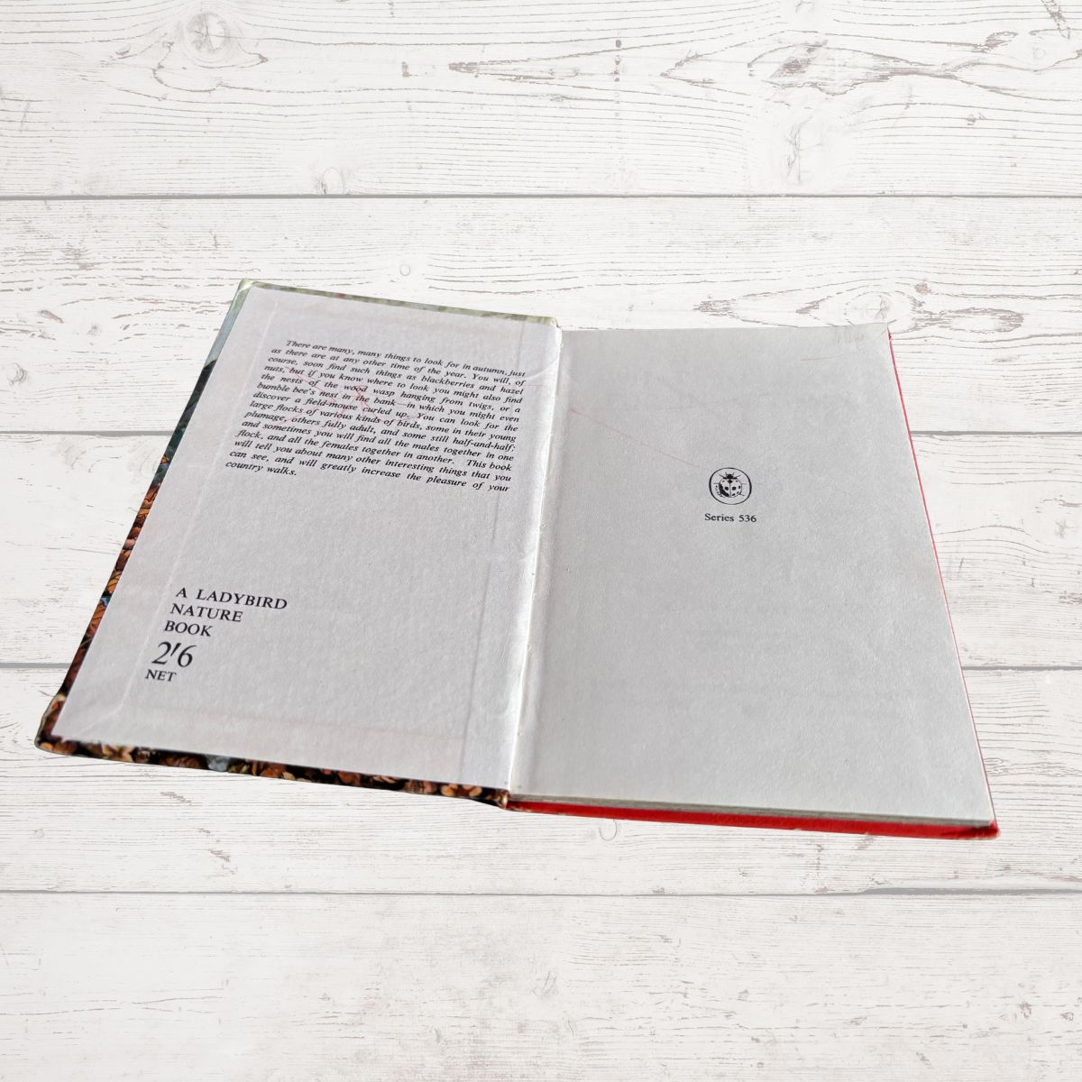 An open book titled 'A LADYBIRD NATURE BOOK' showing printed text on the left page and a blank page with a small emblem on the right, placed on a white wood plank surface.