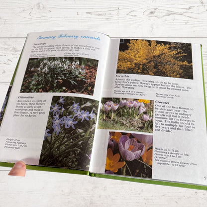 An open gardening book spread showing pages with text, photos of spring flowers, and a hand holding the left page. The pages include headings for Snowdrops, Chionaria, Faryrthia, Crocus, and other spring blooms, with small color photos and descriptions.