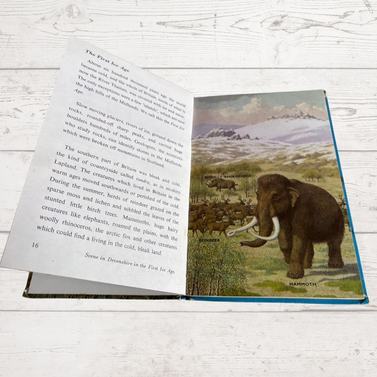 An open children's book lying on a white painted wood surface, showing printed text on the left page and a vintage-style illustration of a mammoth in a mountain landscape on the right page.