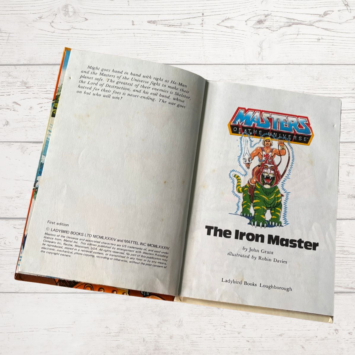 Open book with 'Masters of the Universe' Iron Master illustration on a light wooden surface