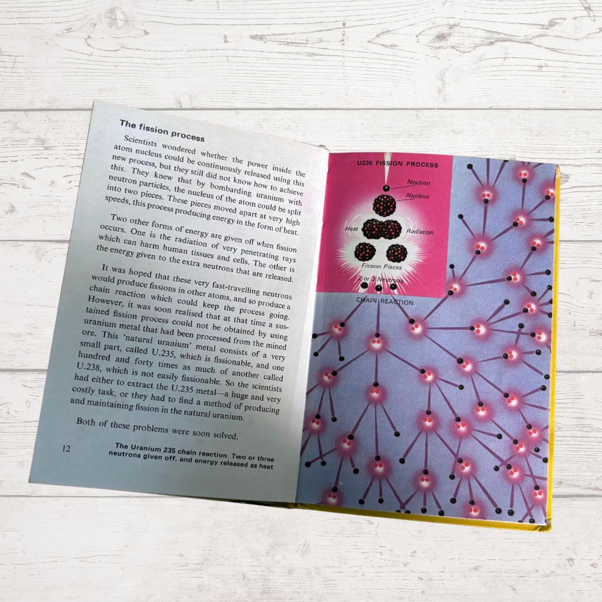 An open book spread showing a page about nuclear fusion with text on the left and a colorful diagram on the right, placed on a light wood surface.