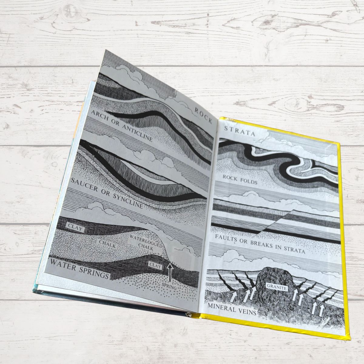 Open book with geological illustrations on a wooden surface