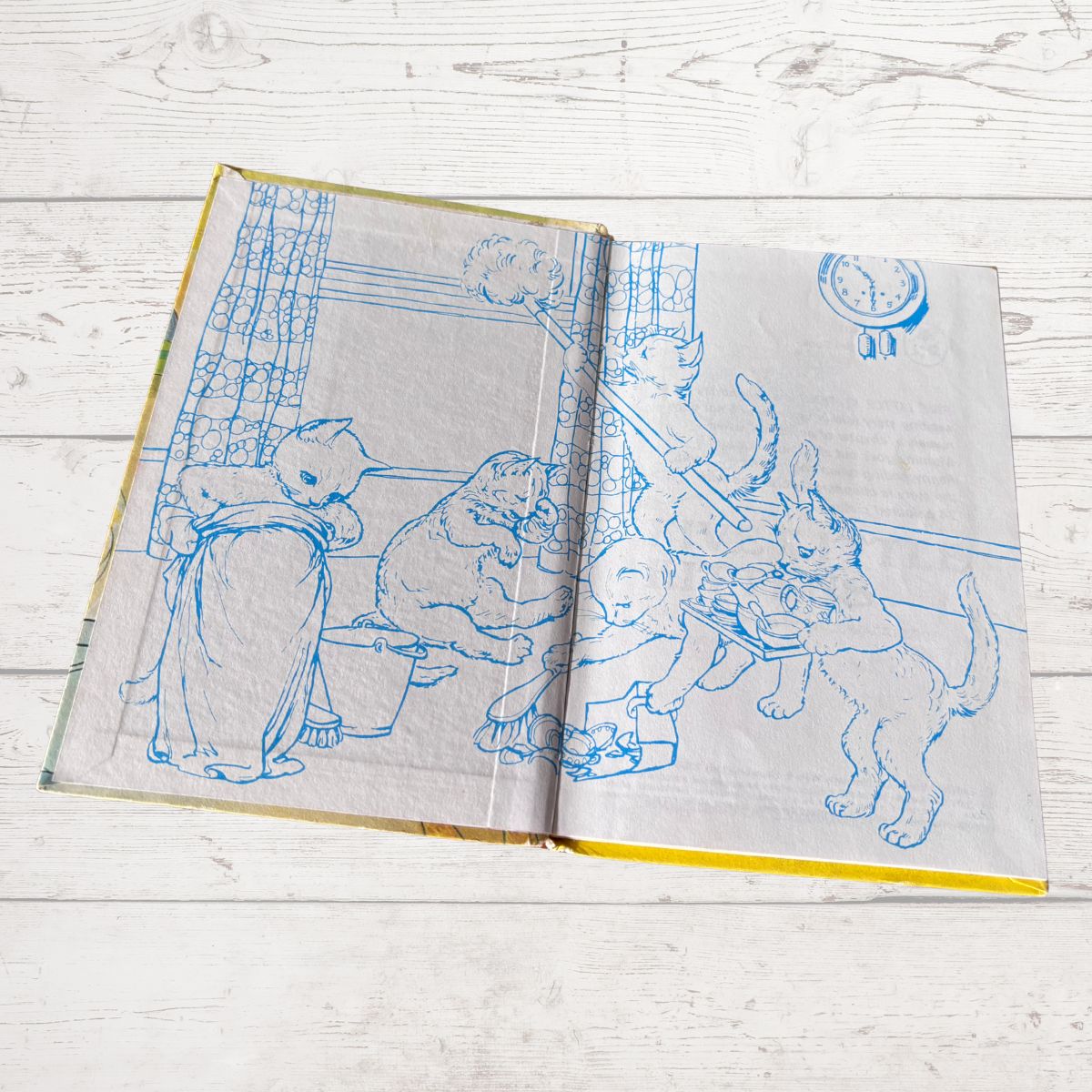 An open vintage book  flat on a white wooden surface, featuring blue line drawings of children and animals 