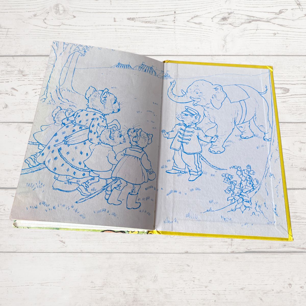 An open children's book with blue line drawings on white pages, placed on a light whitewashed wooden surface. The left page shows a family of bears, and the right page shows a boy, an elephant, and flowers.