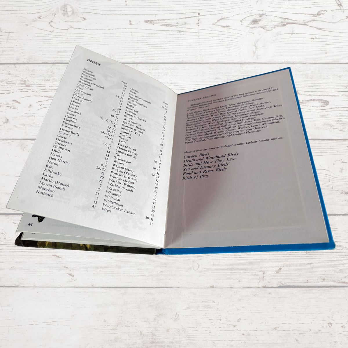 An open hardcover book showing printed pages, photographed on a white wood plank surface. The left page has a table of contents, and the right page has text sections with a blue border visible along the right edge.