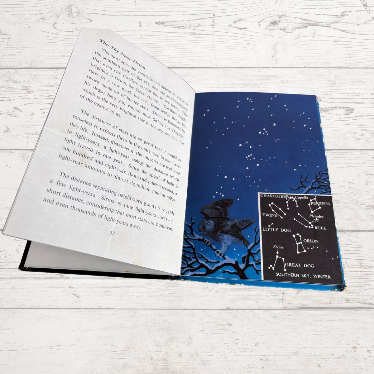 An open children's book titled 'The Myths and Legends' showing a detailed winter constellations page with a cutout bat and tree branches against a dark blue night sky, displayed on a white wood background.