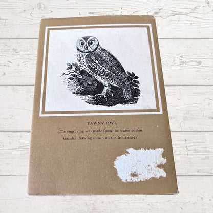 Book with an owl illustration on a wooden surface