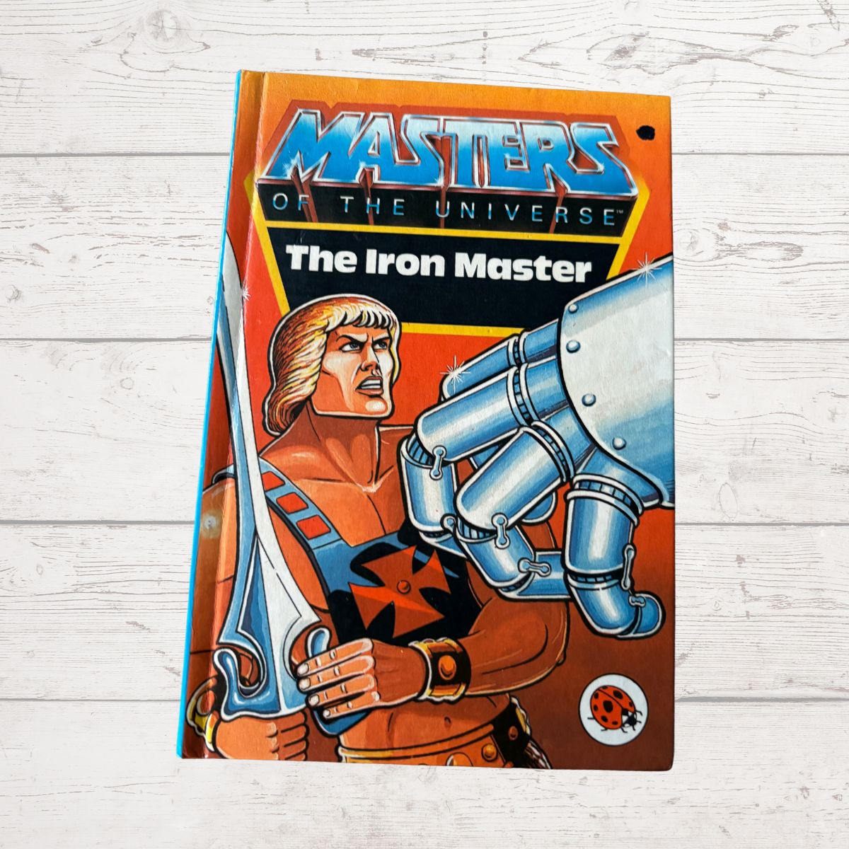 Book cover of 'Masters of the Universe: The Iron Master' on a wooden surface