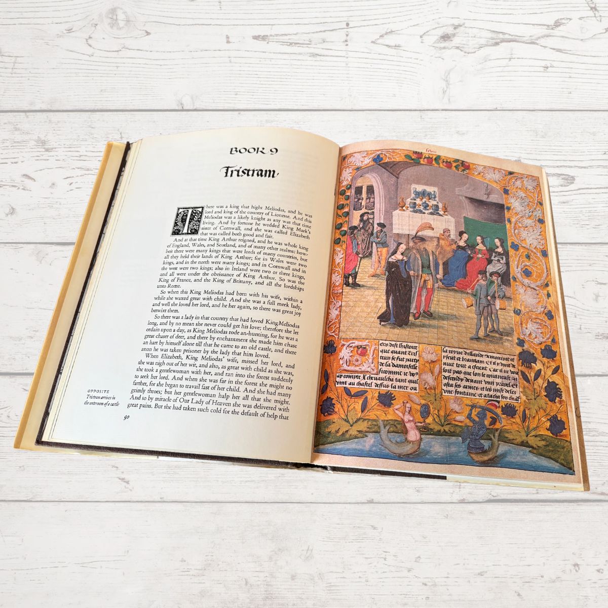 Open book with illustrated pages on a wooden surface