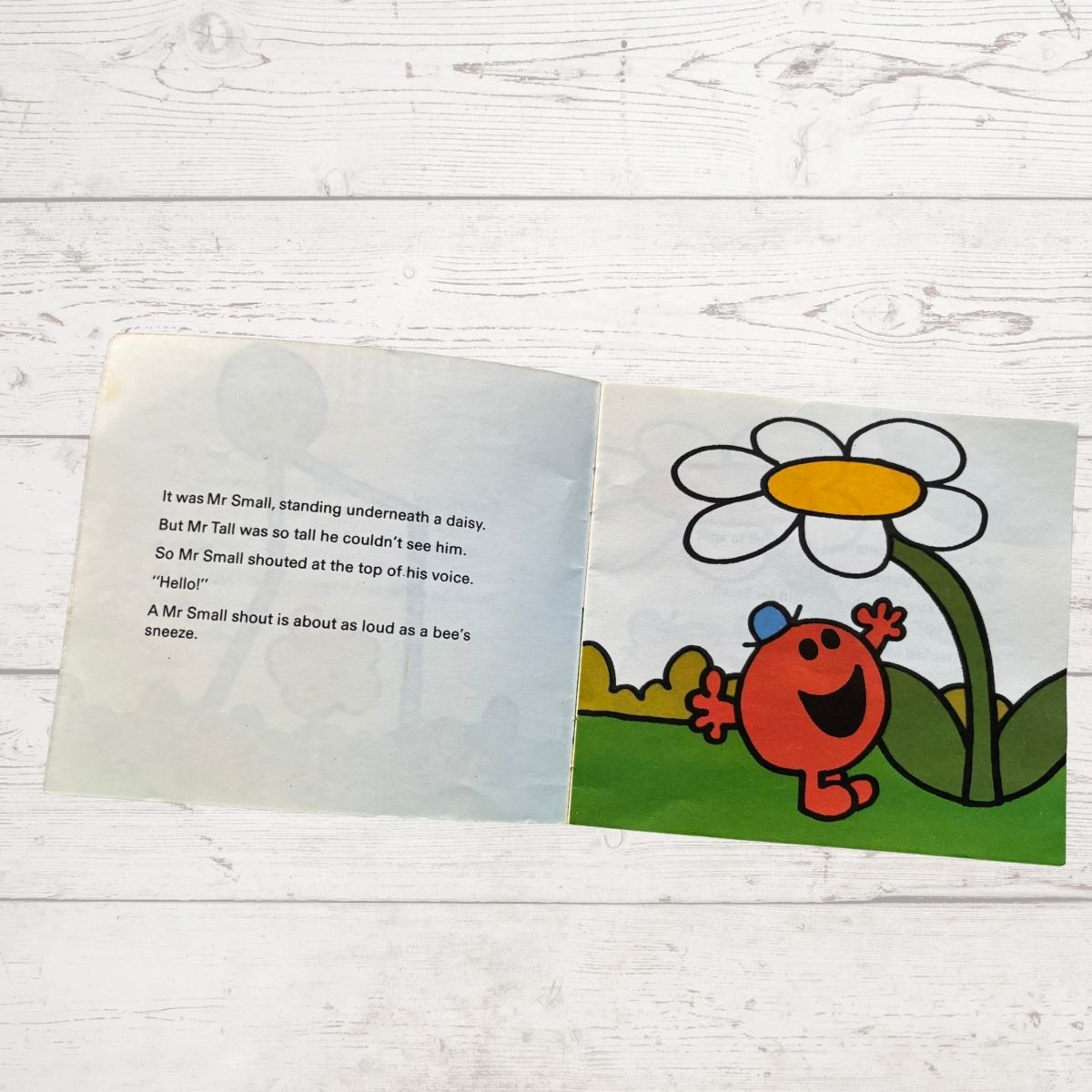 Mr Small next to a big flower 