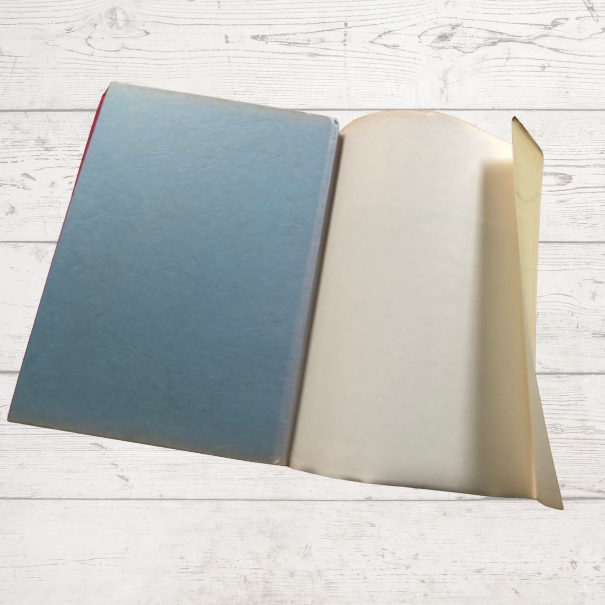 Vintage Diana annual 1976 on a white wood background 