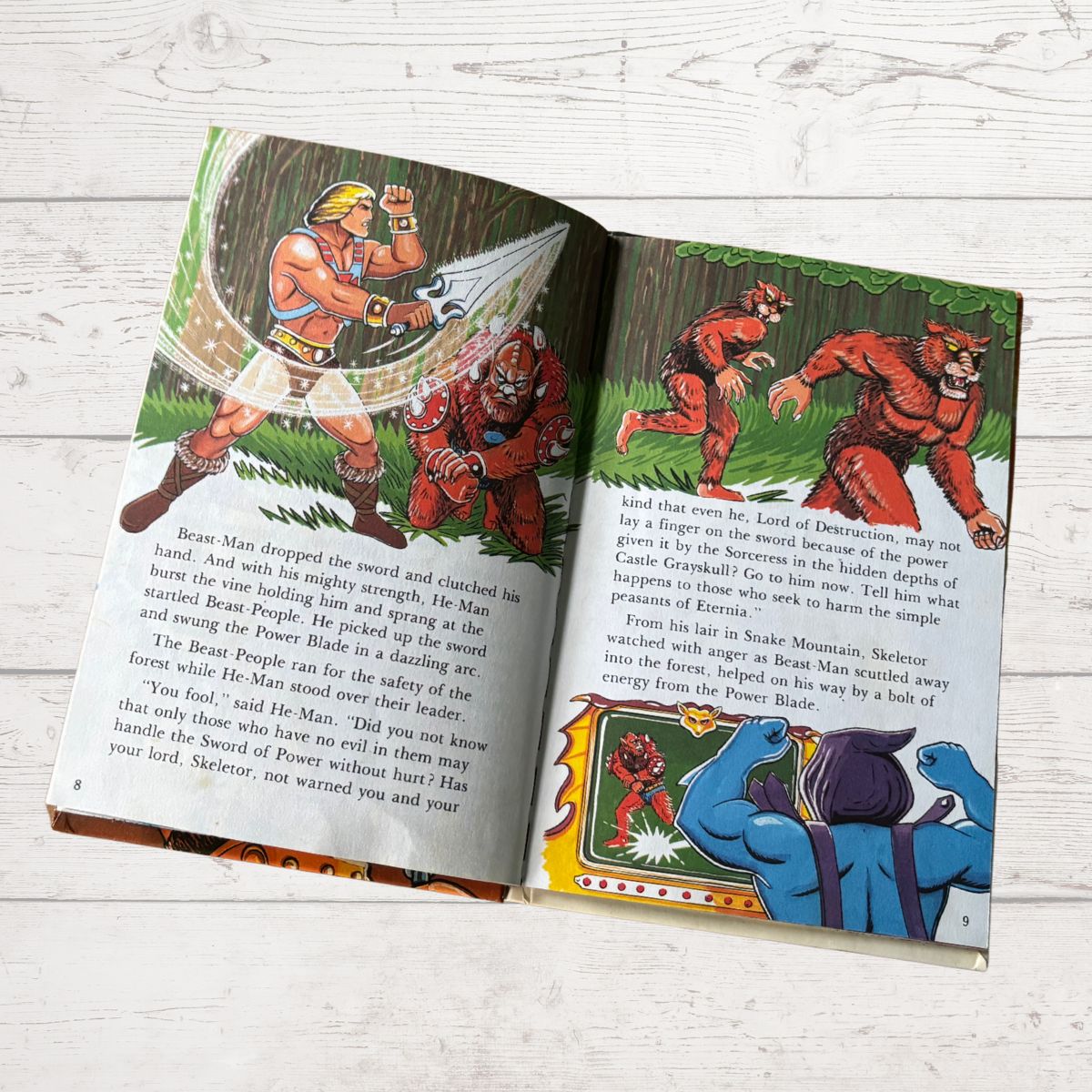 He - Man, Masters of the Universe. The Iron Master. Vintage ladybird book. Great gift idea
