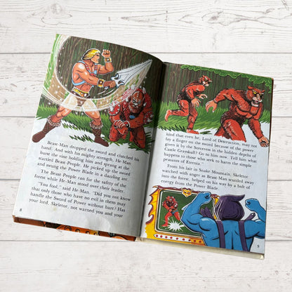 He - Man, Masters of the Universe. The Iron Master. Vintage ladybird book. Great gift idea