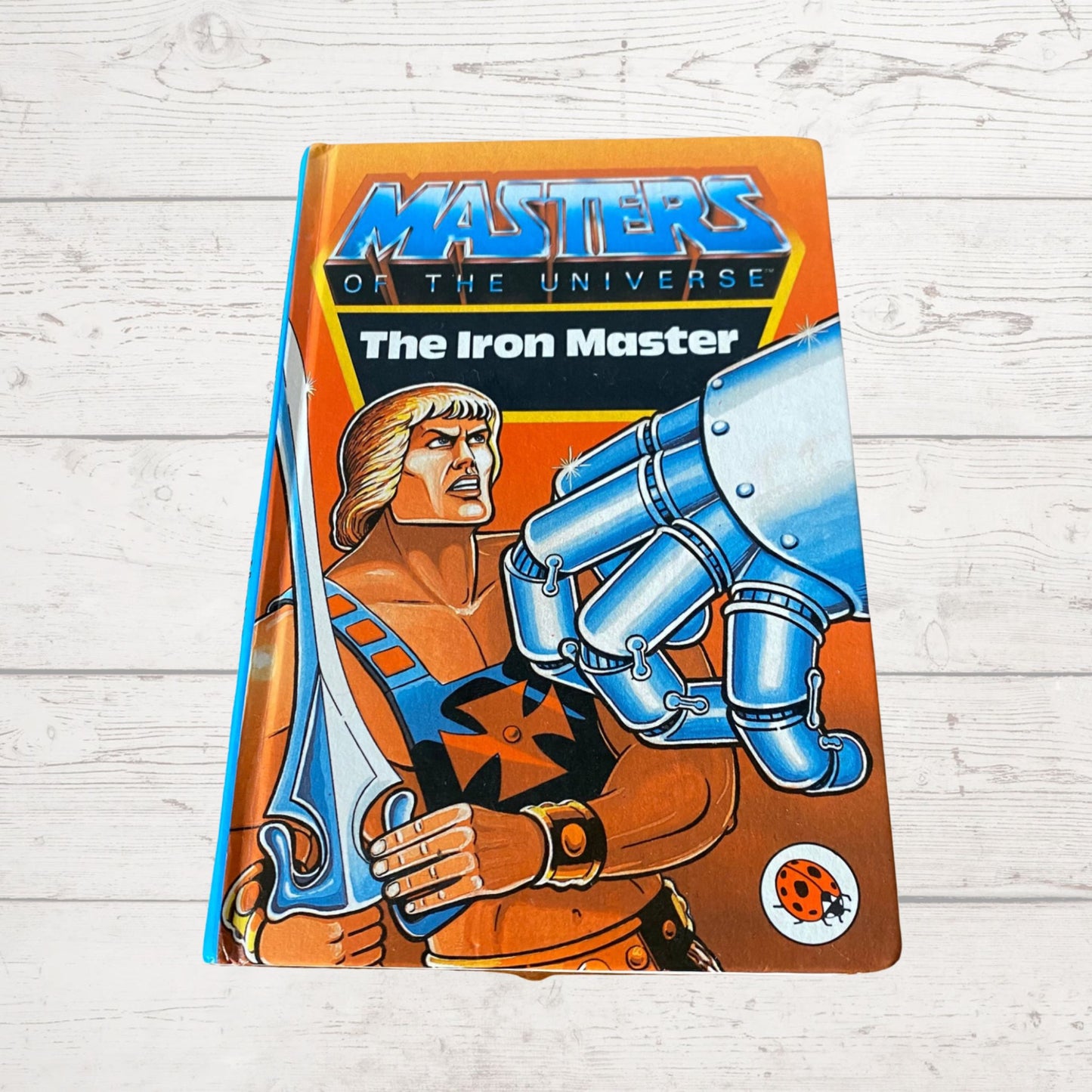 He - Man, Masters of the Universe. The Iron Master. Vintage ladybird book. Great gift idea