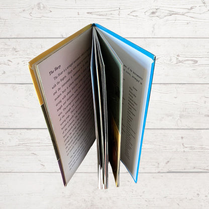 Vintage 1970s ladybird book, A ladybird book of Musical Instruments. Series 662