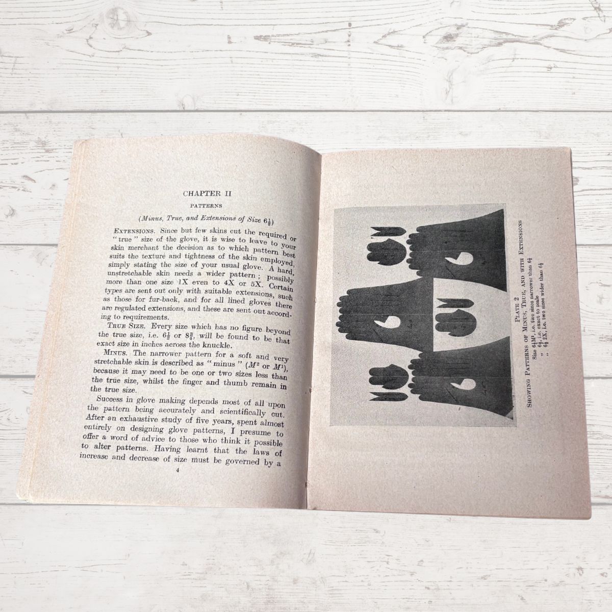 Open book with text and black and white illustration on a light wooden surface