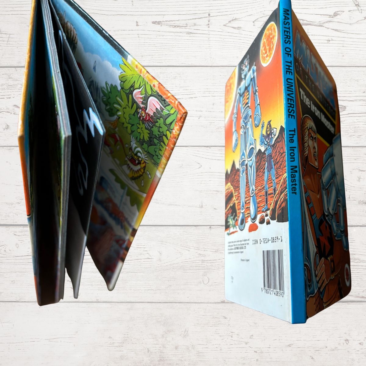 He - Man, Masters of the Universe. The Iron Master. Vintage ladybird book. Great gift idea