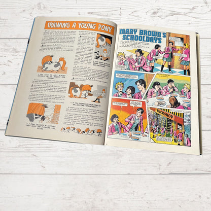 Vintage Diana Annual 1972, full of fiction, fashion, fun and nostalgia. Great gift idea