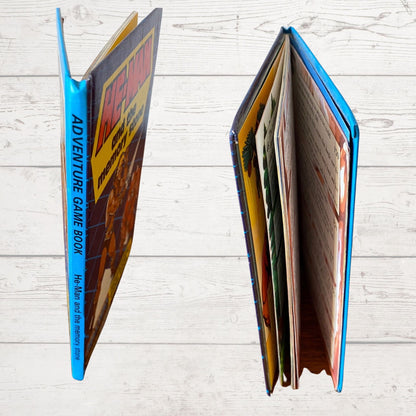 He - Man and The Memory Stone Masters of the Universe. Adventure Game Vintage ladybird book. Great gift idea