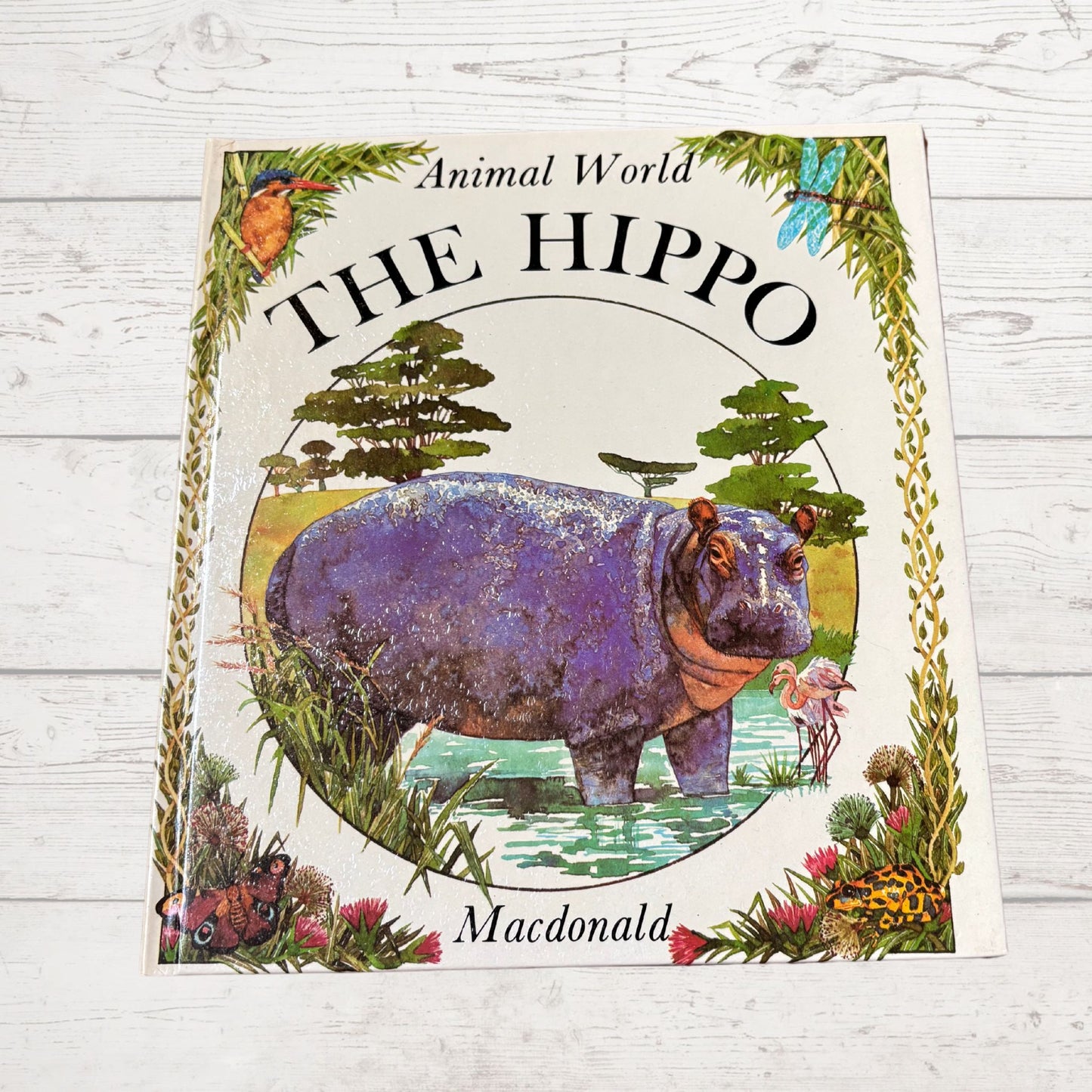 Vintage 1970s Children's Book: The Hippo  - Beautifully Illustrated Educational Hardback Animal & Nature Facts