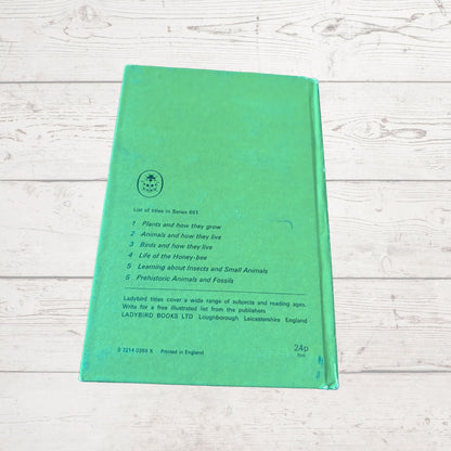 Prehistoric Animals and Fossils. 1970s Vintage Ladybird Book. Series 651