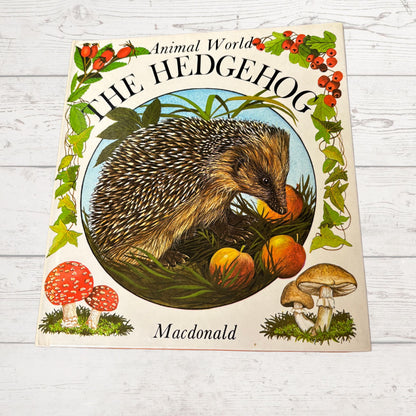 Vintage 1970s Children's Book: The Hedgehog  - Beautifully Illustrated Educational Hardback Animal & Nature Facts