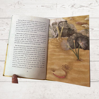 Open book with illustrations of a worm and plants on a wooden surface