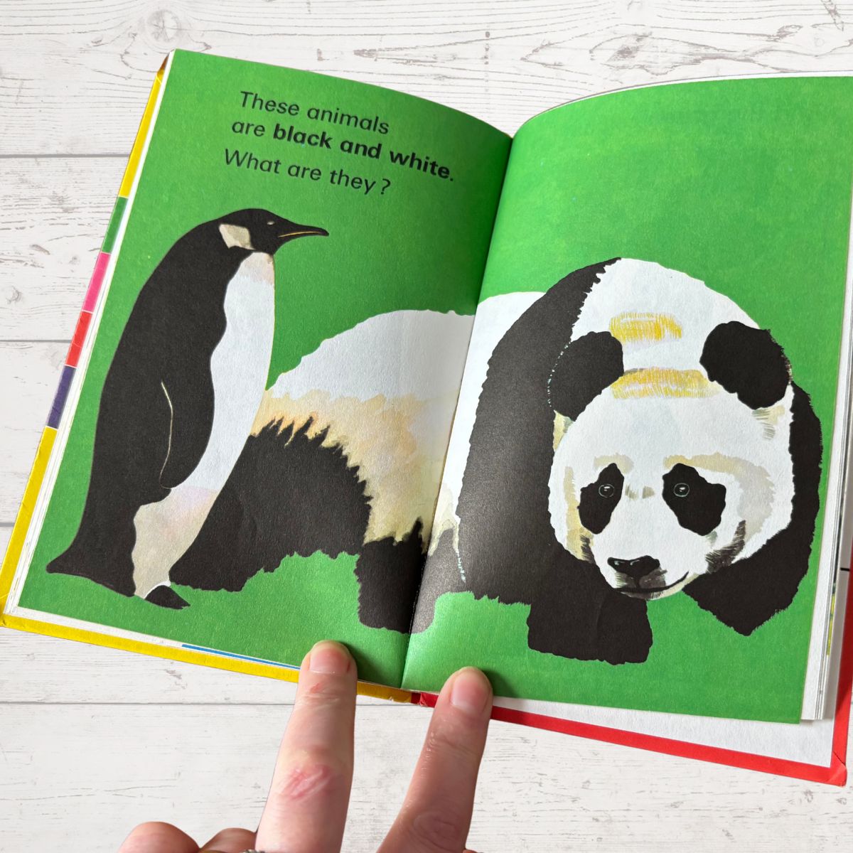 Colours. Vintage Early Learning Ladybird Book. 1978 Edition. Series 563