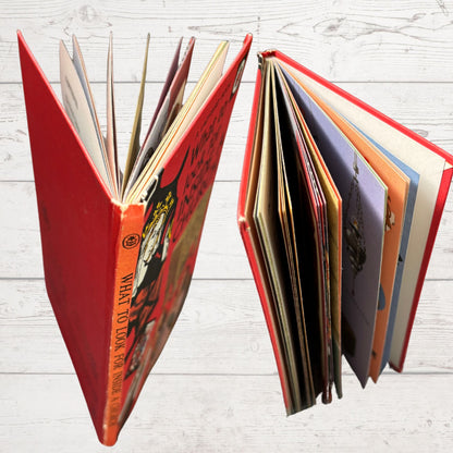 Vintage 1970s ladybird book: What to Look for Inside a Church. Series 649