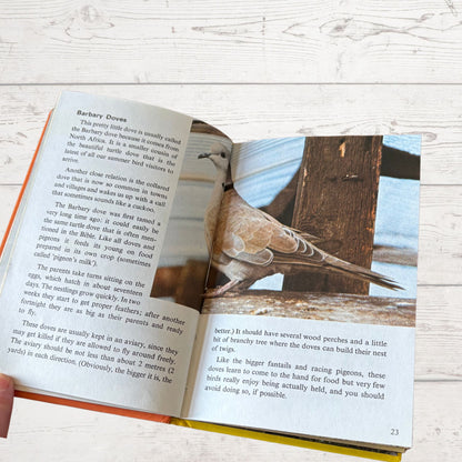 Pets. 1970s Ladybird Learnabout Book. Series 633. Great Gift Idea