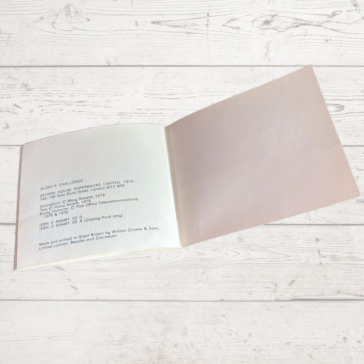 Vintage Buzby Book: Buzby’s Challenge by Hilary Alcock. 1978 edition