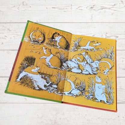 Hannibal on the farm. 1970s Vintage Ladybird Book. Series 497. Great gift idea