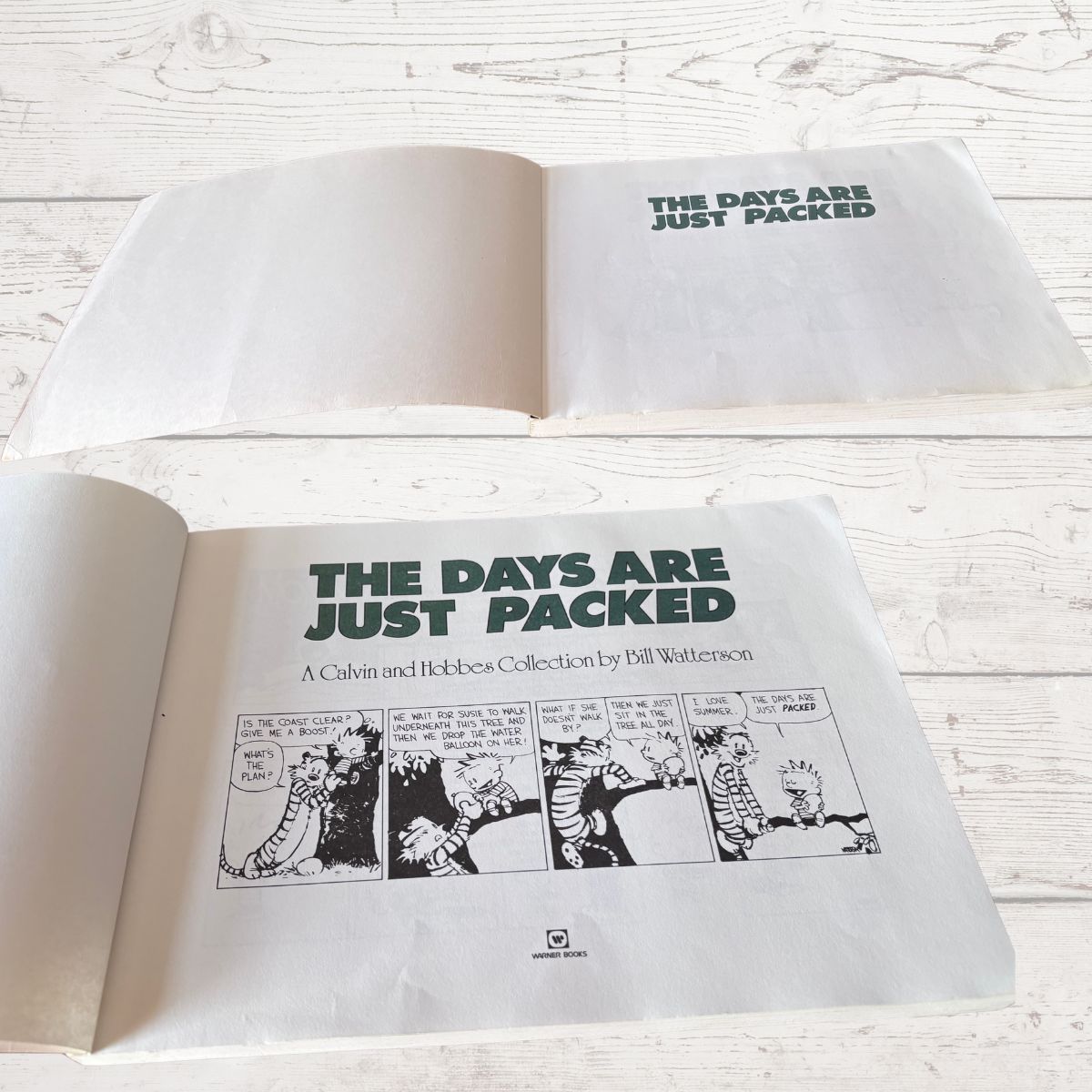 1993 Vintage Calvin and Hobbes collection book on a white background 