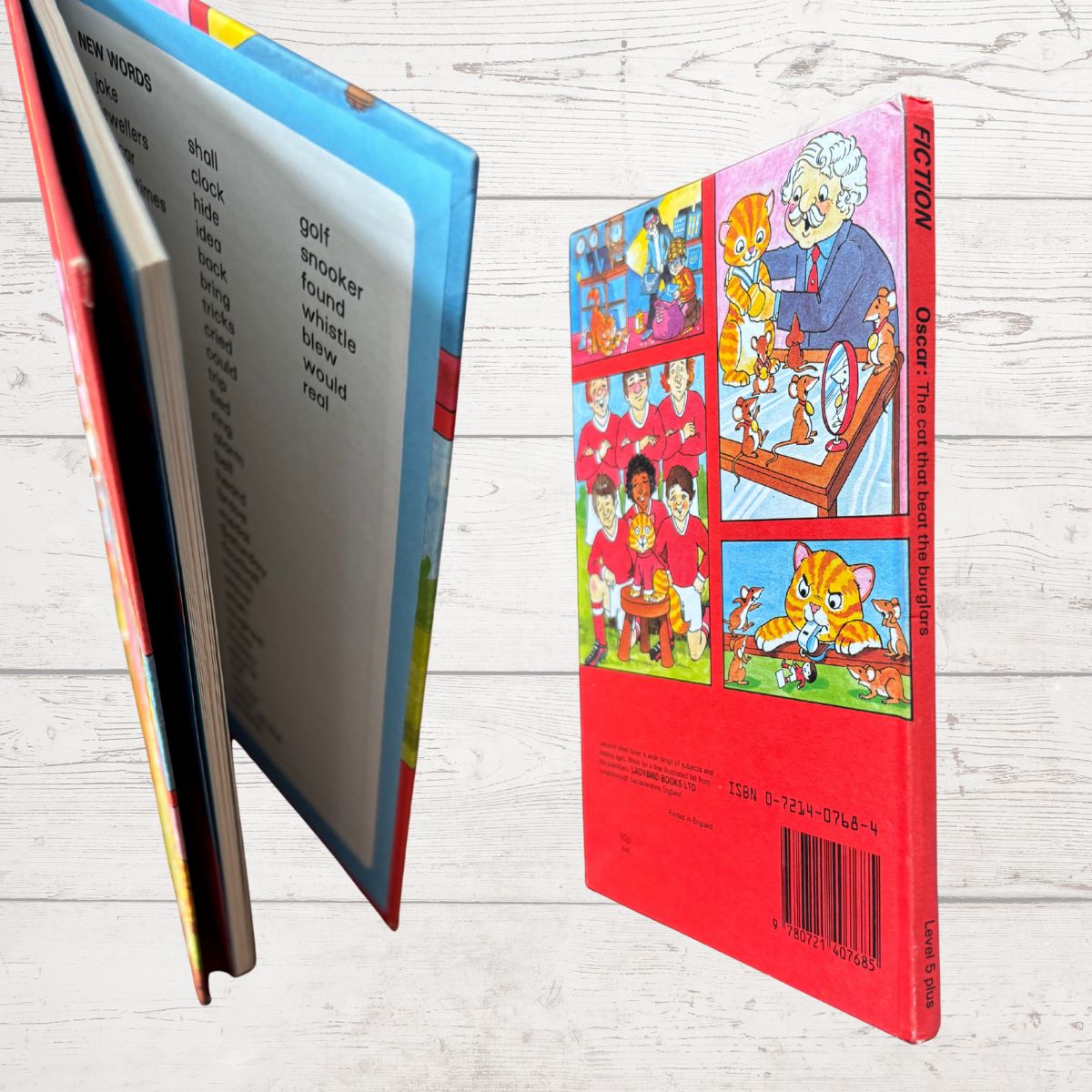 Back cover of a children's book with colorful illustrations on a wooden surface