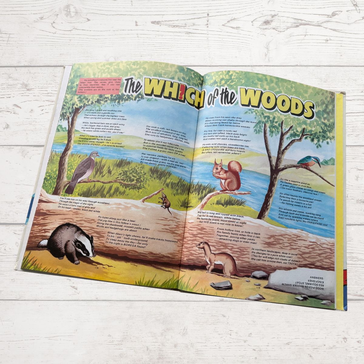 1981 Mandy for Girls Vintage Annual open on an illustrated woodland page on a white background 