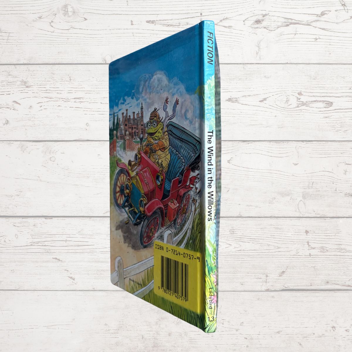 Book titled 'The Wind in the Willows' on a wooden surface