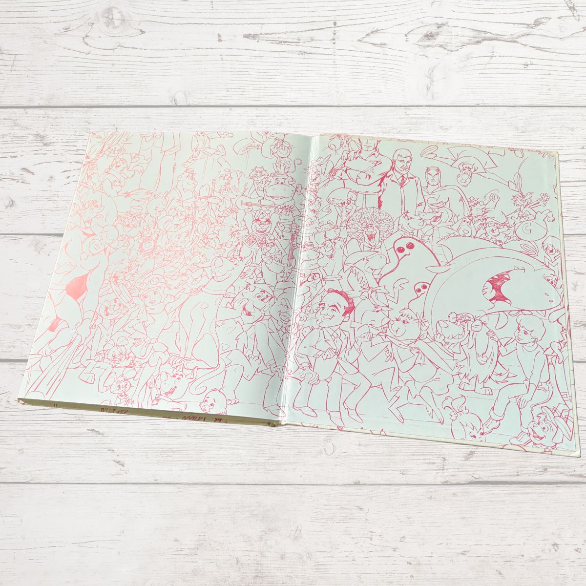 Open book with illustrations on a light wooden surface