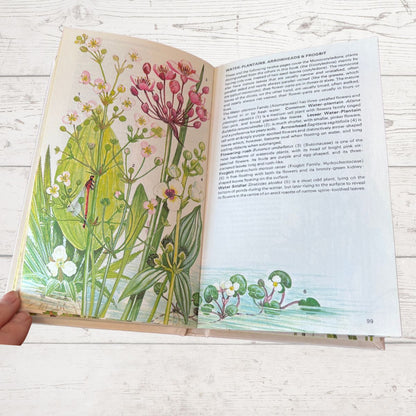 Open book with illustrations of plants on a wooden surface