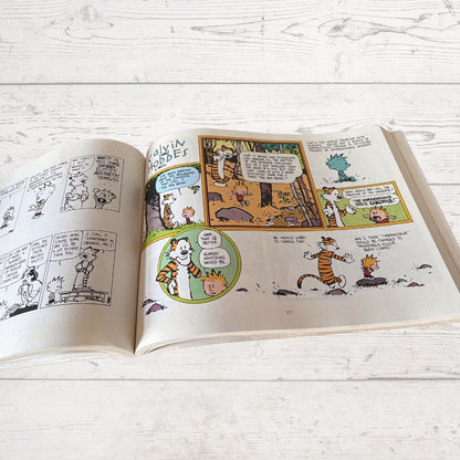 Open book with comic pages featuring cartoon characters on a light wooden surface