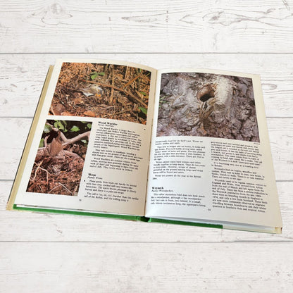 Open book on a wooden surface with nature-themed pages