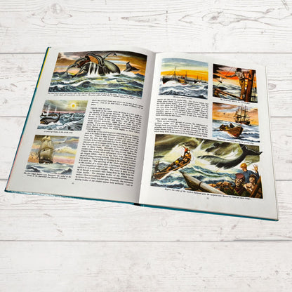 Vintage 1960s Children's Book: Wildlife - Beautifully Illustrated Colourful Hardback Encyclopaedia