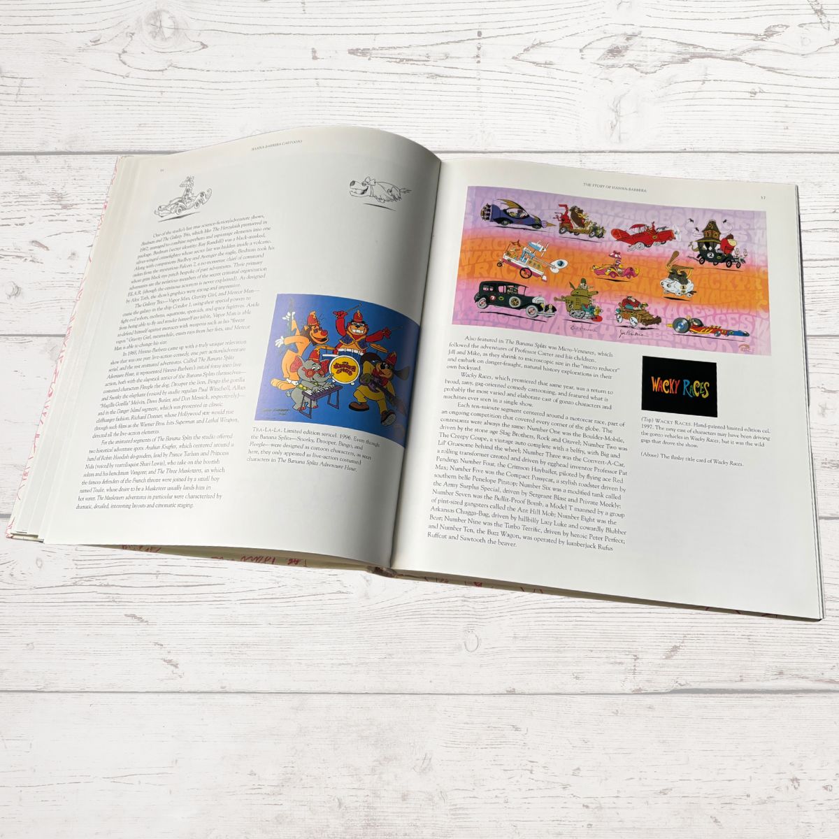 Open book with cartoon illustrations 