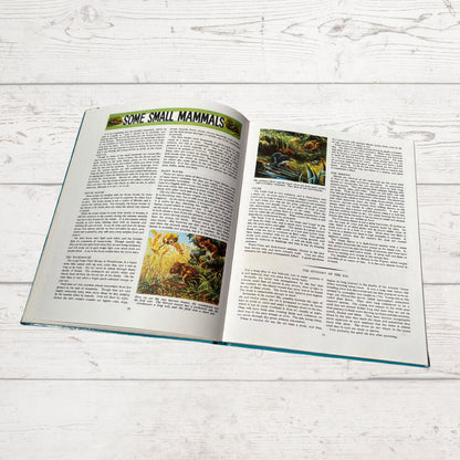 Vintage 1960s Children's Book: Wildlife - Beautifully Illustrated Colourful Hardback Encyclopaedia