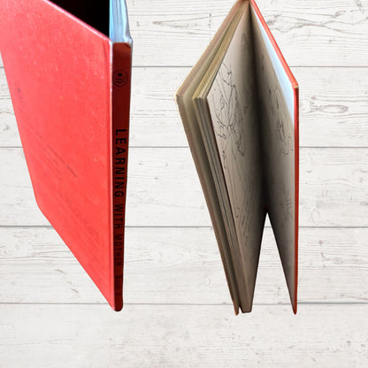 Learning with Mother. Book 3. Vintage 1970s Ladybird Book. Series 702 . Great Gift