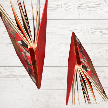 Vintage 1970s ladybird book: What to Look for Inside a Church. Series 649