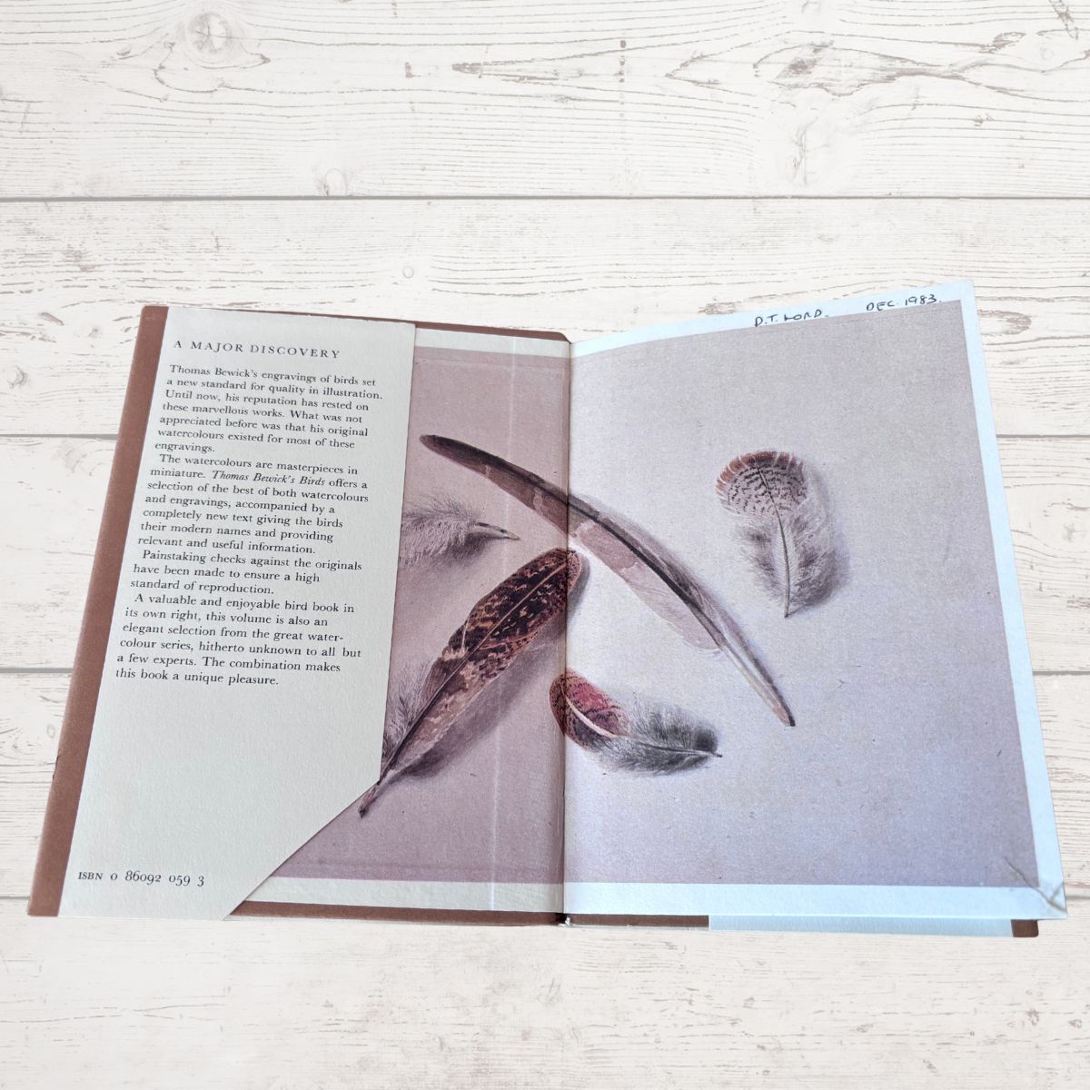 Open book with feather illustrations on a wooden surface