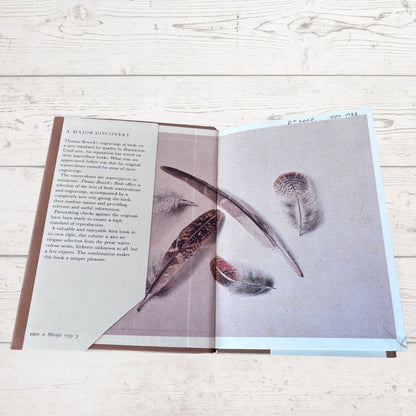 Open book with feather illustrations on a wooden surface