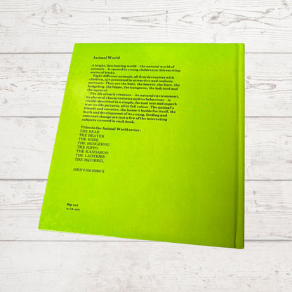 Vintage 1970s Children's Book: The Hare   - Beautifully Illustrated Educational Hardback Animal  & Nature Facts